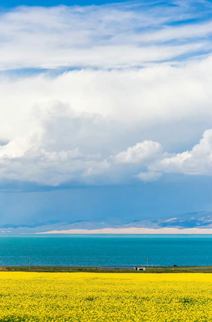 青海，高原明珠的辉煌历程探索
