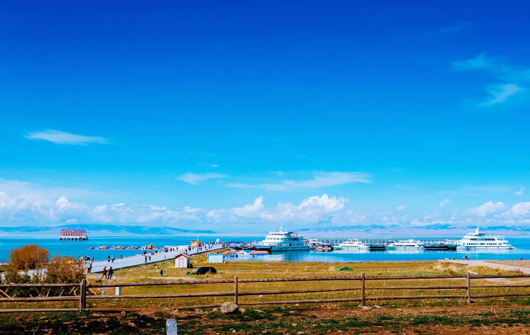 青海,高原明珠的辉煌历程探索