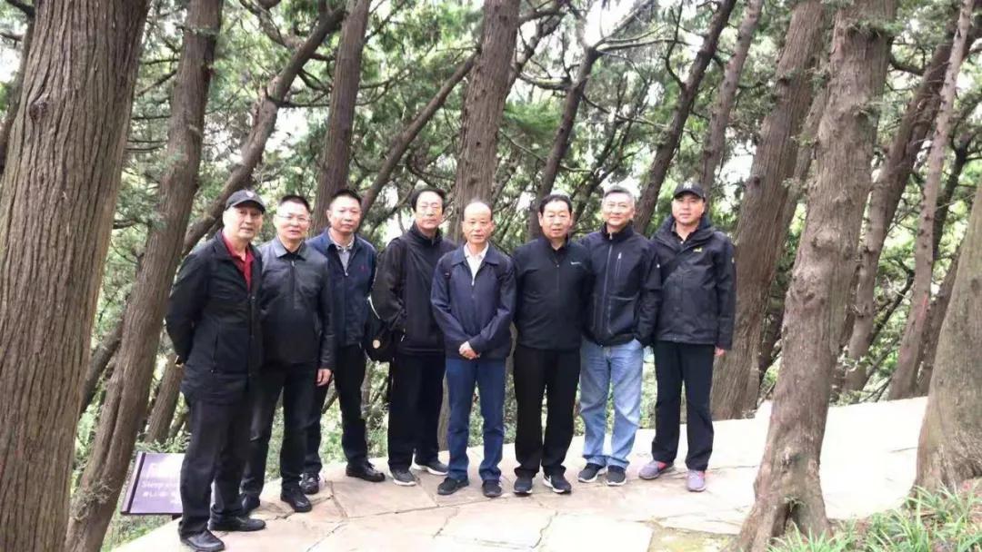 宁夏秋色，遇见塞上最美的风景线🌄🍁